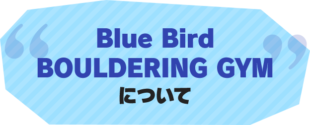 Blue Bird BOULDERING GYMについて
